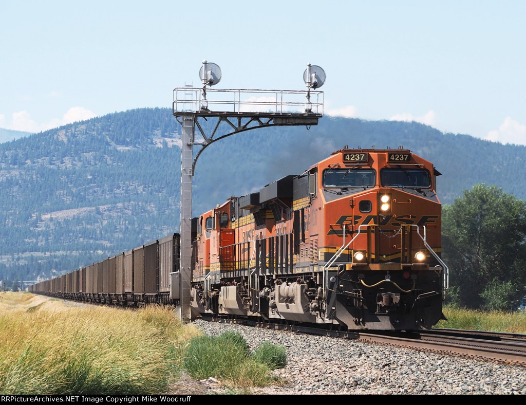 BNSF 4237